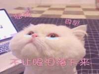 临沂敏泓净水设备科技有限公司