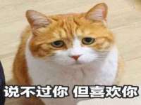 临沂敏泓净水设备科技有限公司