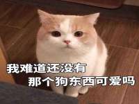 临沂敏泓净水设备科技有限公司