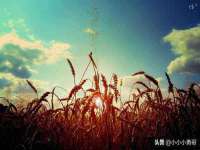 临沂敏泓净水设备科技有限公司