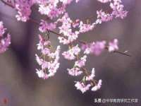 临沂敏泓净水设备科技有限公司