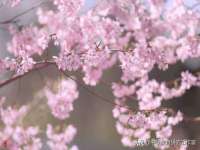 临沂敏泓净水设备科技有限公司