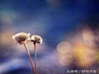 临沂敏泓净水设备科技有限公司