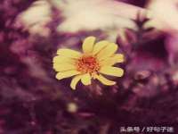 临沂敏泓净水设备科技有限公司