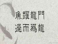 临沂敏泓净水设备科技有限公司