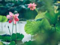 临沂敏泓净水设备科技有限公司