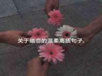 临沂敏泓净水设备科技有限公司