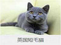 临沂敏泓净水设备科技有限公司