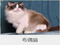 临沂敏泓净水设备科技有限公司