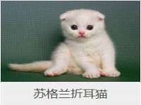 临沂敏泓净水设备科技有限公司