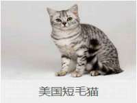 临沂敏泓净水设备科技有限公司