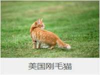 临沂敏泓净水设备科技有限公司