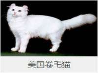 临沂敏泓净水设备科技有限公司