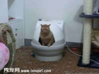 临沂敏泓净水设备科技有限公司