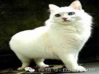 临沂敏泓净水设备科技有限公司