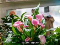 临沂敏泓净水设备科技有限公司
