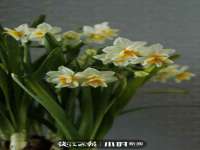 临沂敏泓净水设备科技有限公司