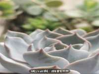 临沂敏泓净水设备科技有限公司