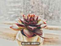 临沂敏泓净水设备科技有限公司