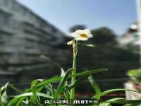 临沂敏泓净水设备科技有限公司