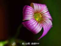 临沂敏泓净水设备科技有限公司