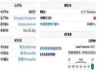 临沂敏泓净水设备科技有限公司