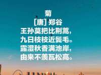 临沂敏泓净水设备科技有限公司