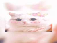 临沂敏泓净水设备科技有限公司