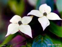 临沂敏泓净水设备科技有限公司