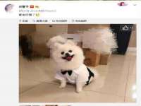 临沂敏泓净水设备科技有限公司