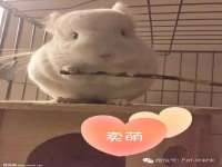 临沂敏泓净水设备科技有限公司