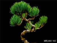 临沂敏泓净水设备科技有限公司